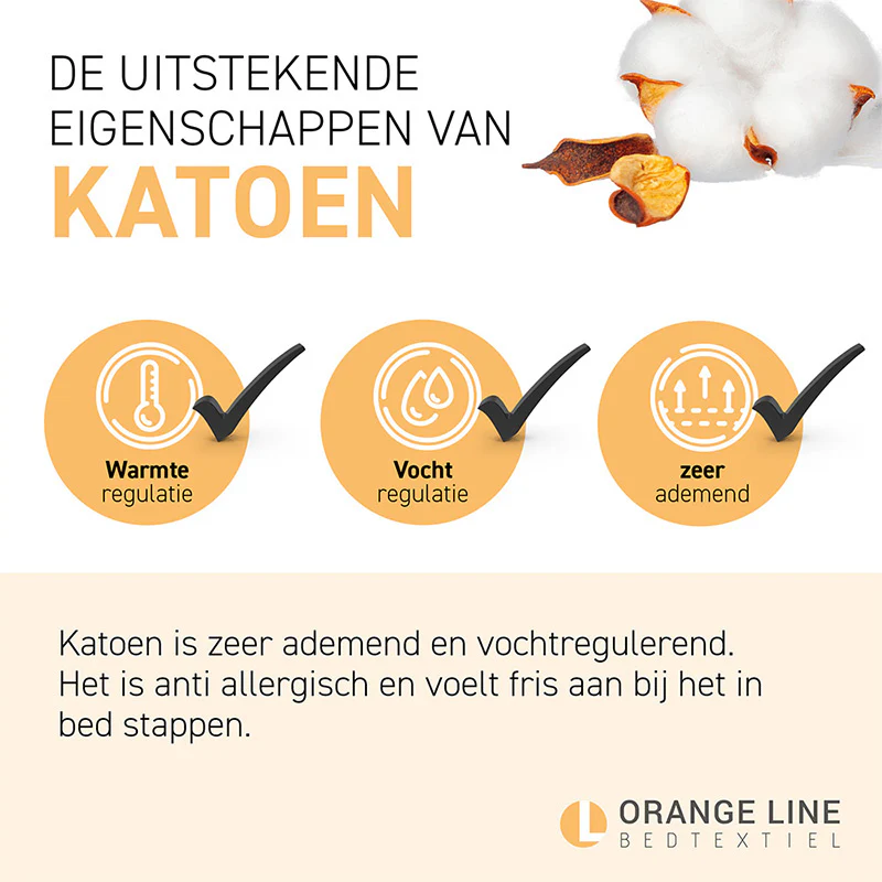 Productafbeelding 10