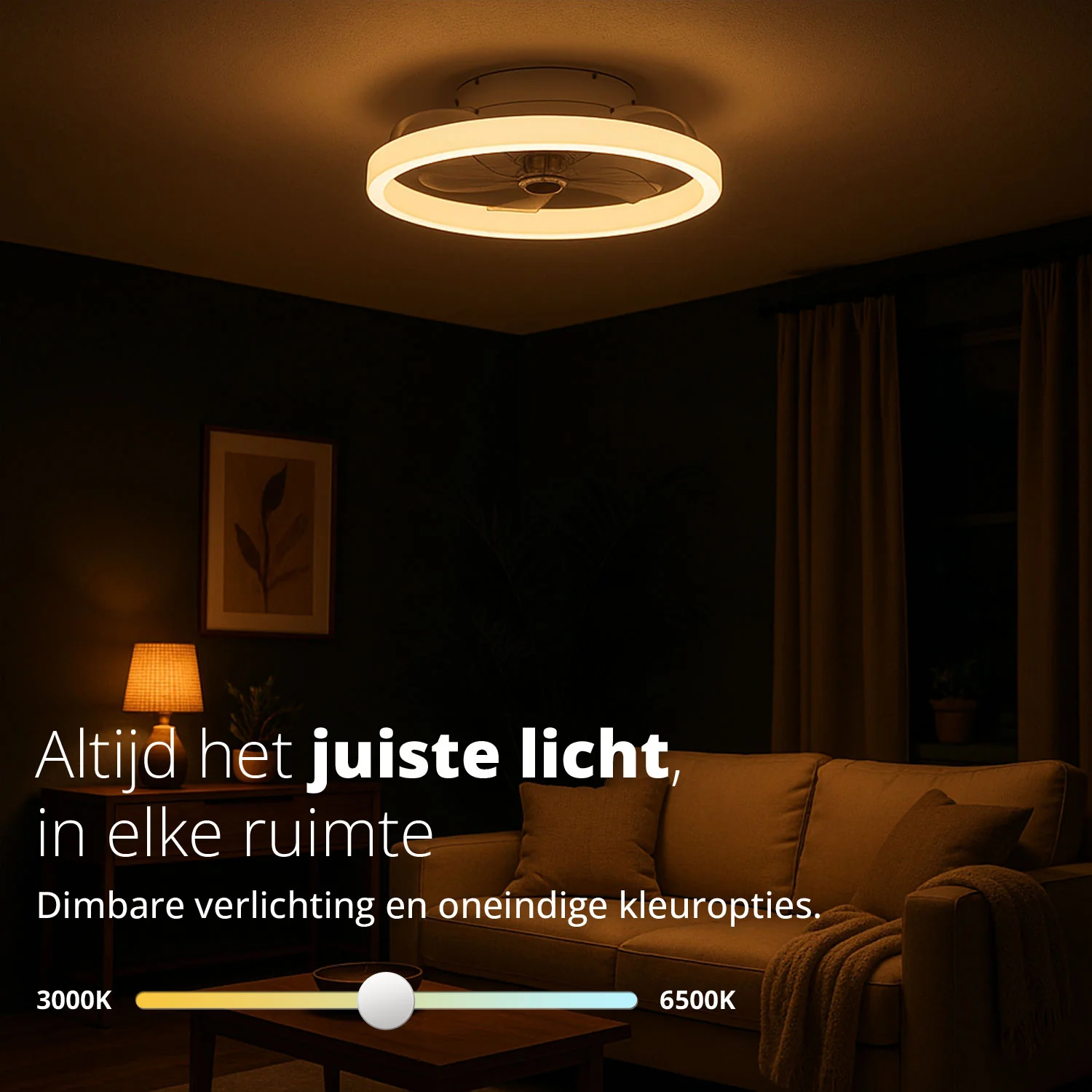 Productafbeelding 4