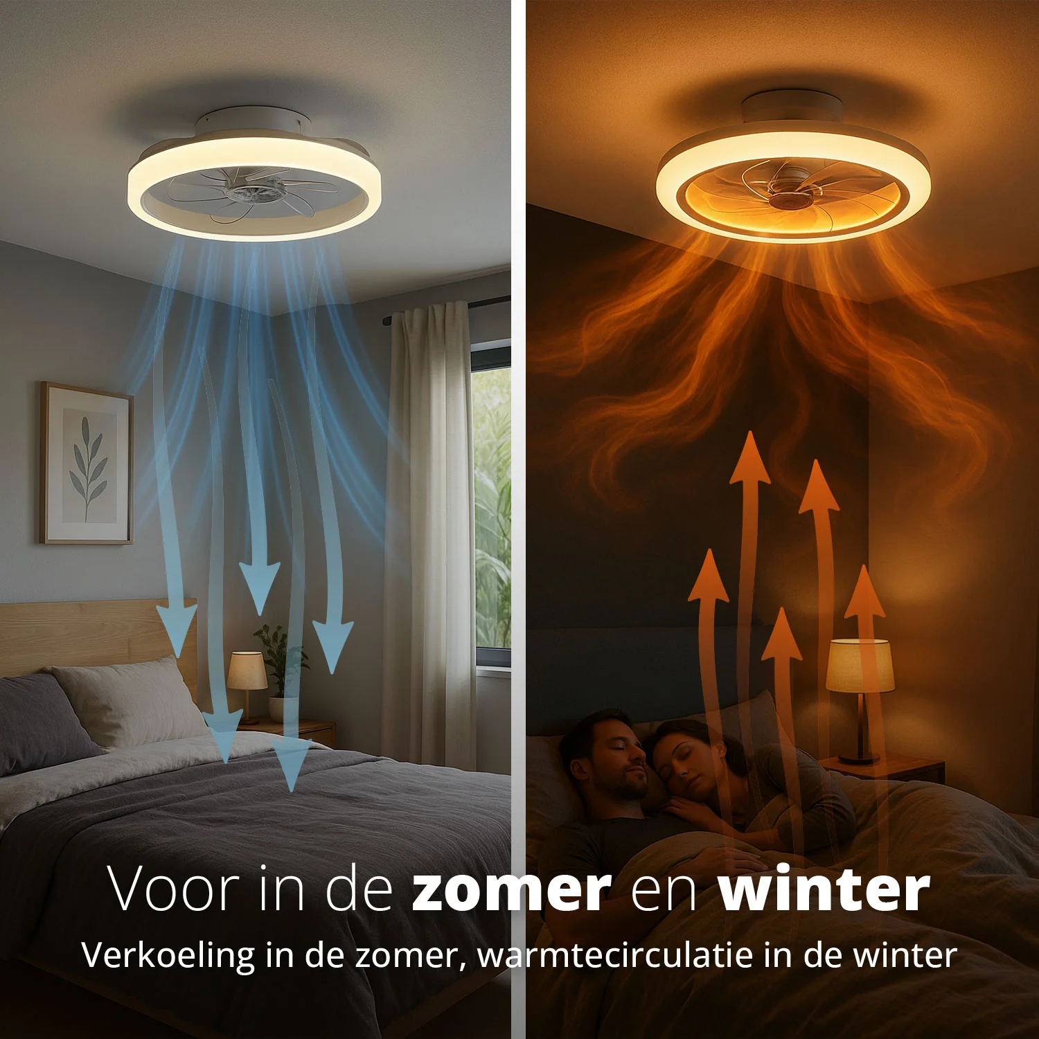 Productafbeelding 8